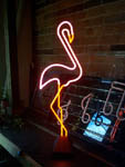 NS061-flamingo-standing