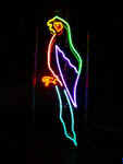 NS081-parrot_multicolor