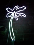 NS101-pink-blue-palmtree