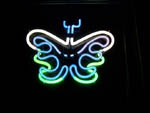 NS100-butterfly-colour
